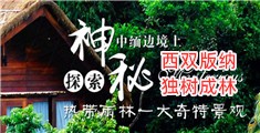 草逼一级片性