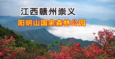 舔蜜穴的视频